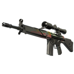G3SG1 | Keeping Tabs (Battle-Scarred)