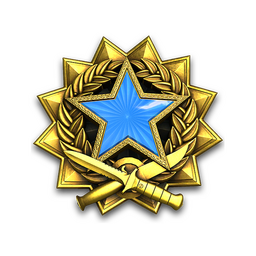 2017 Service Medal