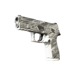 P250 | Sleet (Factory New)