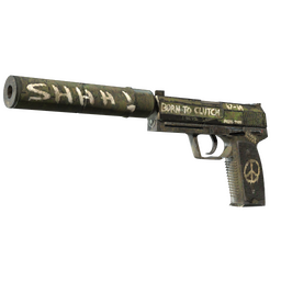 USP-S | Flashback (Field-Tested)