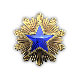 2016 Service Medal
