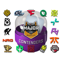 Budapest 2025 Contenders Sticker Capsule
