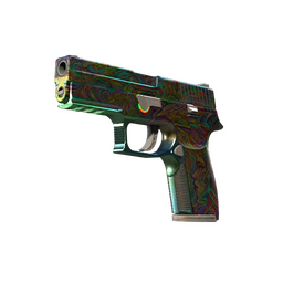 P250 | Visions (Field-Tested)