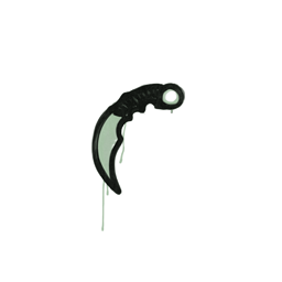Sealed Graffiti | Karambit (Cash Green)