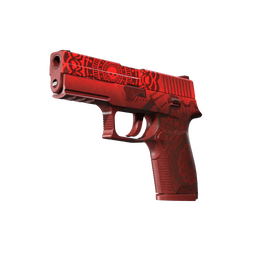 P250 | Muertos (Field-Tested)