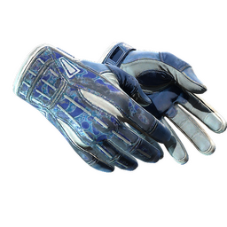 ★ Sport Gloves | Amphibious (Battle-Scarred)