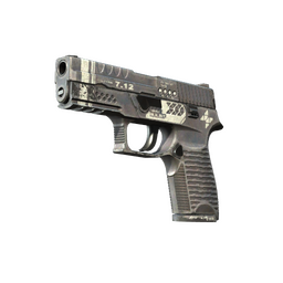 StatTrak™ P250 | Re.built (Field-Tested)