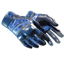 ★ Moto Gloves | Polygon (Minimal Wear)