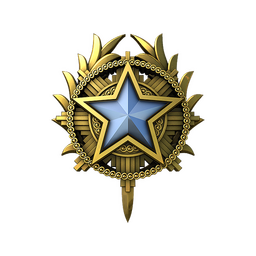 2020 Service Medal