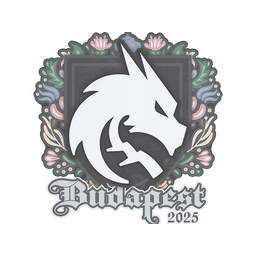 Sticker | Team Spirit | Budapest 2025