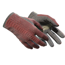 ★ Driver Gloves | Dragon Fists
