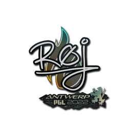 Sticker | roeJ | Antwerp 2022