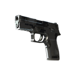 P250 | Metallic DDPAT (Factory New)