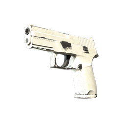 P250 | Whiteout (Field-Tested)