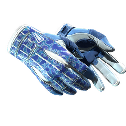 ★ Sport Gloves | Amphibious (Minimal Wear)