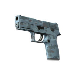 P250 | Nocny las (lekkie zużycie)