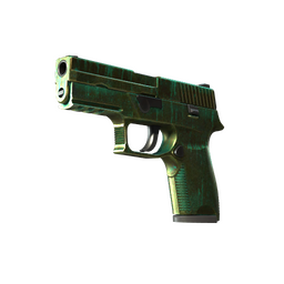 StatTrak™ P250 | Verdigris (Battle-Scarred)