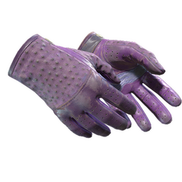 ★ Driver Gloves | Plum Quill