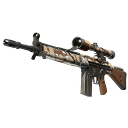 G3SG1 | Desert Storm (Field-Tested)