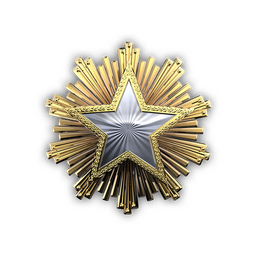 2016 Service Medal