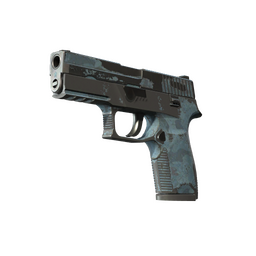 P250 | Nocny las (po ciężkich walkach)