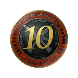 10 Year Veteran Coin