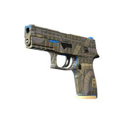 P250 | Exchanger