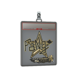 Sticker Slab | FaNg (Gold) | Antwerp 2022