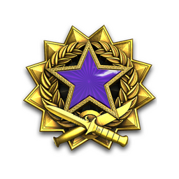 2017 Service Medal