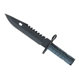 ★ M9 Bayonet | Night