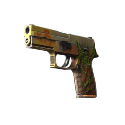 P250 | Inferno (Field-Tested)