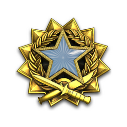 2017 Service Medal