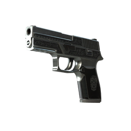 StatTrak™ P250 | Cartel