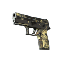 Pamiątka P250 | Skażenie (po ciężkich walkach)