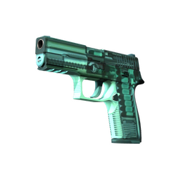 StatTrak™ P250 | X-Ray (Factory New)