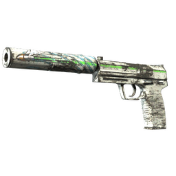 Souvenir USP-S | Road Rash (Well-Worn)