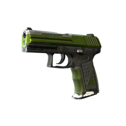 P2000 | Turf (Battle-Scarred)
