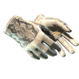 ★ Driver Gloves | King Snake (Factory New)