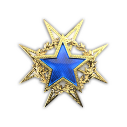 2015 Service Medal