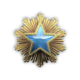 2016 Service Medal