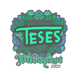 Sticker | TeSeS | Budapest 2025