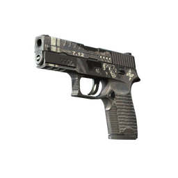 P250 | Re.built (Battle-Scarred)