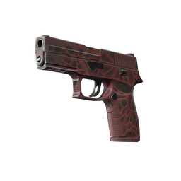P250 | Contaminant (Field-Tested)