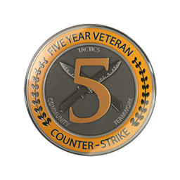 5 Year Veteran Coin