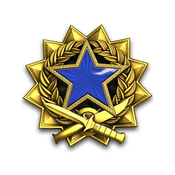 2017 Service Medal