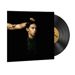 StatTrak™ Music Kit | PVRIS, Evergreen