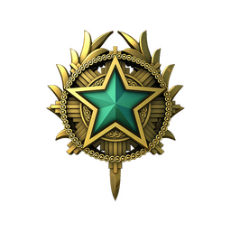 2020 Service Medal