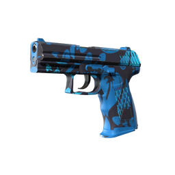 P2000 | Oceanic (Minimal Wear)