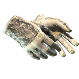 ★ Driver Gloves | King Snake (Well-Worn)
