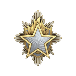 2023 Service Medal